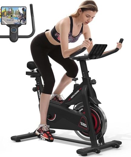Exercise Bikes Stationary,Exercise Bike for Home Indoor Cycling Bike for Home Cardio Gym