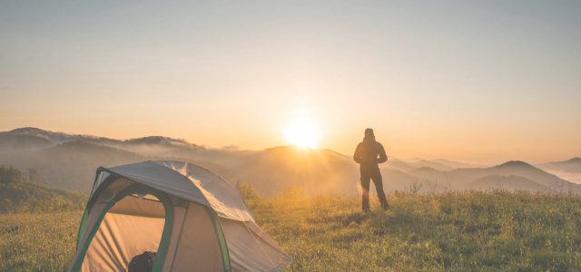 contact_us contact_us